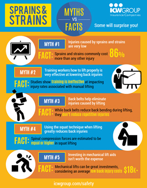 Sprains and strains myths vs. facts flyer.