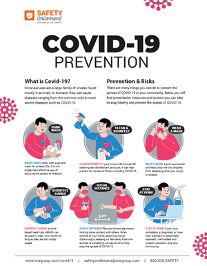 COVID-19 Poster: Prevention & Risks