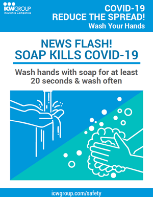 COVID-19 Poster: Reduce The Spread - Wash Your Hands