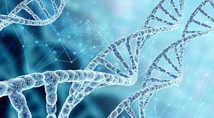 An image of DNA.