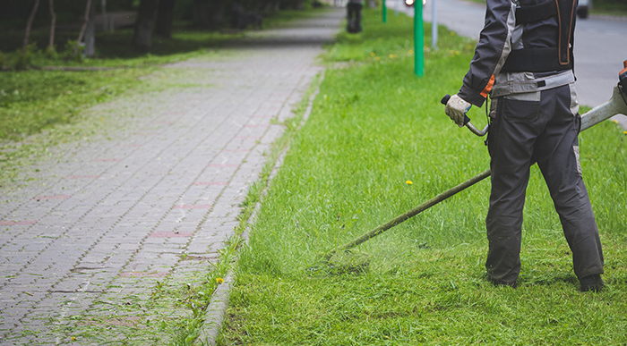 A person mowing grass.