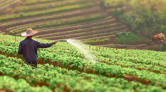 2023_Fraud_Friday_Farming_696x385