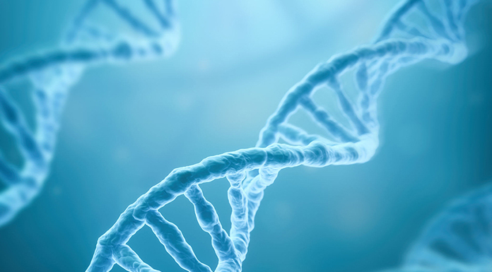 DNA-blog