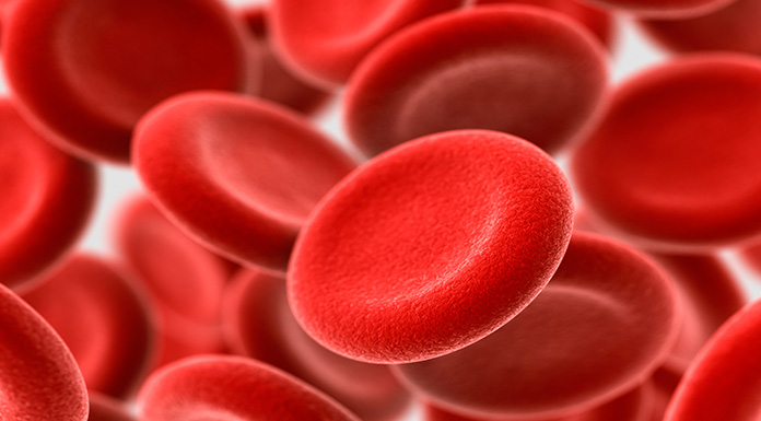 Bloodborne pathogens