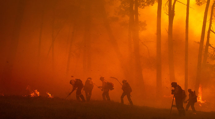 Wildfire_Blog