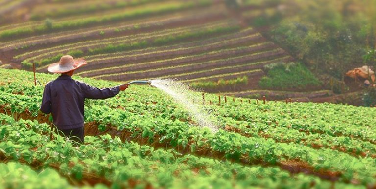 2023_Fraud_Friday_Farming_696x385