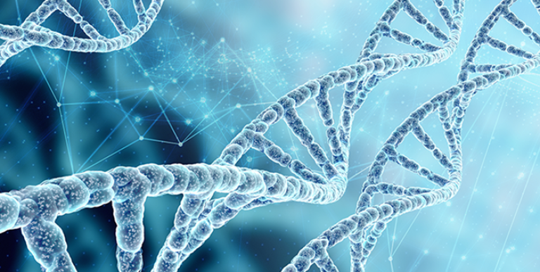 An image of DNA.