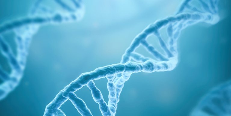 DNA-blog