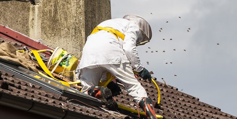 FraudFriday_2_696x385