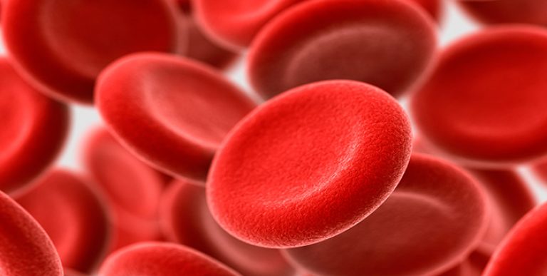 Bloodborne pathogens