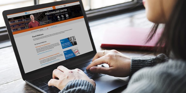 using-laptop-fraud-pc