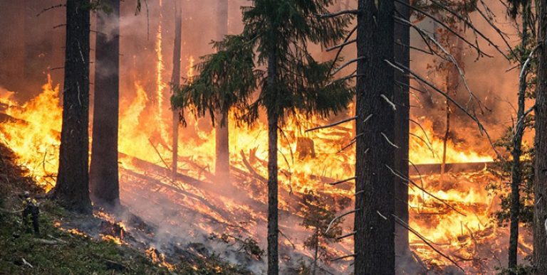 ICW Group's image of a wildfire.