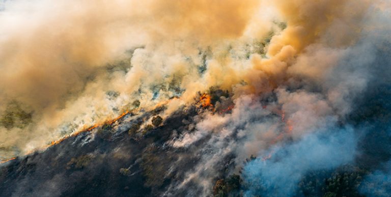 A wildfire raging through a forest, with smoke billowing.